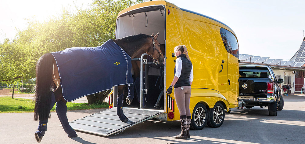 Un cheval en train de monter dans un van Humbaur